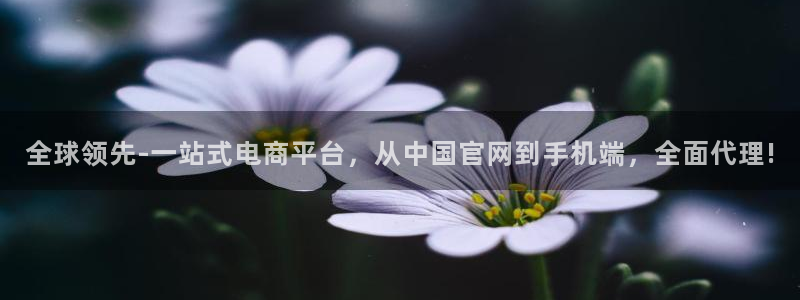 www.天天购彩体育.com：全球领先-一站式电商平台，从中国官网到手机端，全面