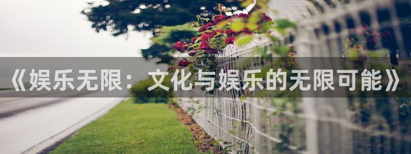天天购彩2官网：《娱乐无限：文化与娱乐的无限可能》