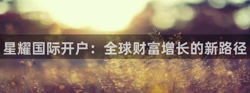 德国天天购彩集团：星耀国际开户：全球财富增长的新路径