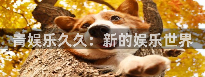 天天购彩4平台注册：青娱乐久久：新的娱乐世界