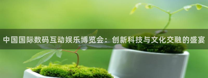 天天购彩平台官网：中国国际数码互动娱乐博览会：创新科技与文化交融的盛宴