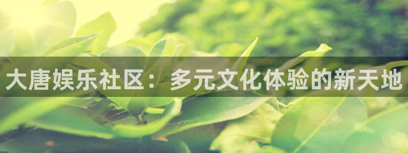 天天购彩登录注册：大唐娱乐社区：多元文化体验的新天地
