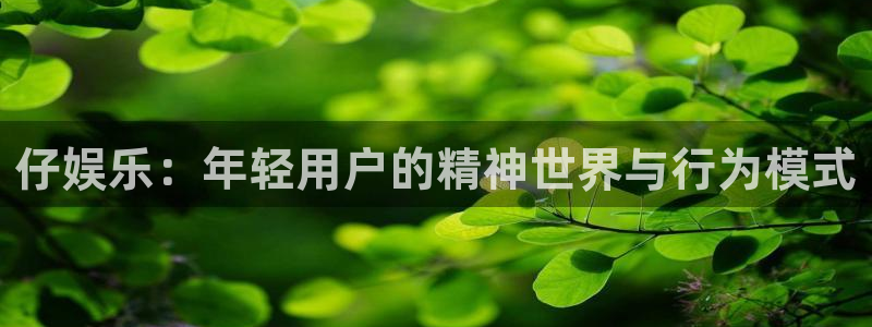 天天购彩平台开户链接：仔娱乐：年轻用户的精神世界与行为模式