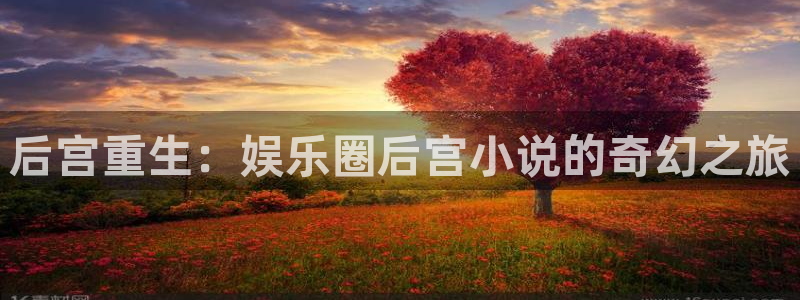 福建天天购彩机电股份公司：后宫重生：娱乐圈后宫小说的奇幻之旅