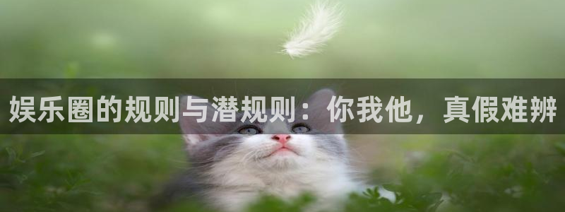 天天购彩体育注册：娱乐圈的规则与潜规则：你我他，真假难辨