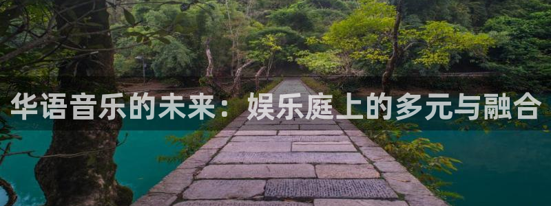 天天购彩电子有限公司：华语音乐的未来：娱乐庭上的多元与融合