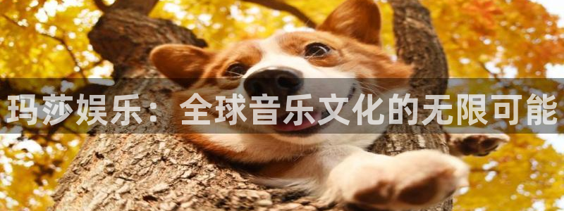 天天购彩体育平台总代理：玛莎娱乐：全球音乐文化的无限可能