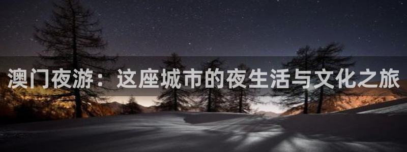 天天购彩4开户：澳门夜游：这座城市的夜生活与文化之旅
