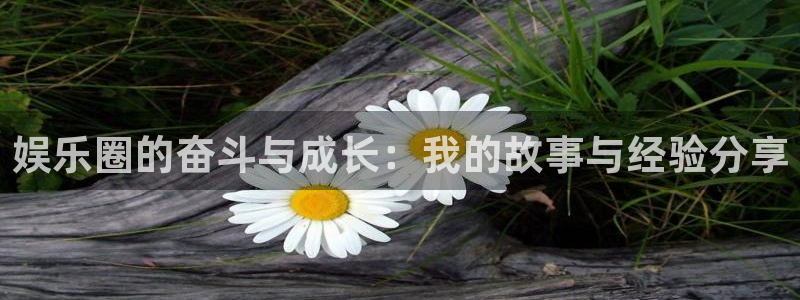 天天购彩体育用品：娱乐圈的奋斗与成长：我的故事与经验分享