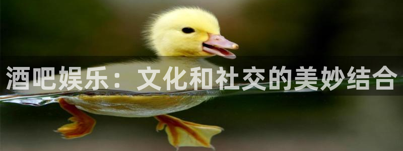 天天购彩2代理注册：酒吧娱乐：文化和社交的美妙结合